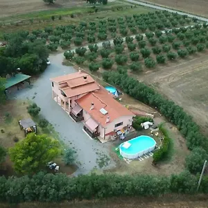 Alloggio per agriturismo Il Boschetto Tulipano, San Donato (Tuscany)